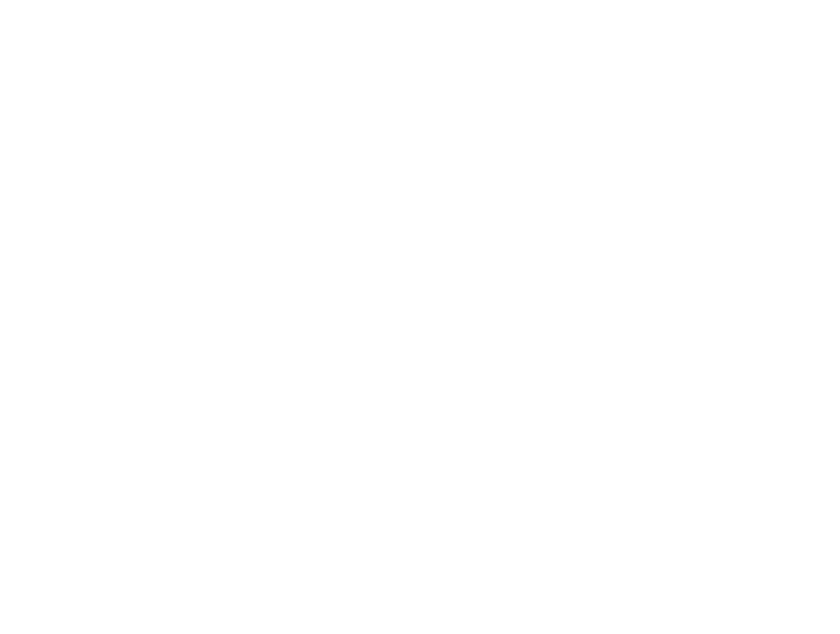 logopyrologus